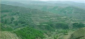 廢棄礦山修復(fù)4 廢棄礦山修復(fù)4