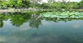 水生態(tài)修復3