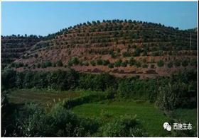 最美扶貧人物3 最美扶貧人物3