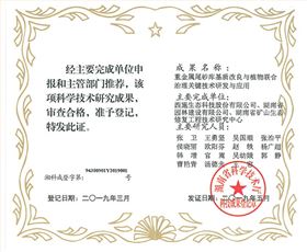 圖片11