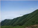 臨武三十六灣風(fēng)電場(chǎng)邊坡綠化、生態(tài)恢復(fù)項(xiàng)目