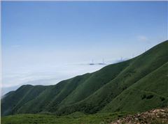 臨武三十六灣風(fēng)電場邊坡綠化、生態(tài)恢復(fù)項(xiàng)目