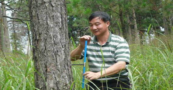中南林業(yè)科技大學研究員，碩士生導師