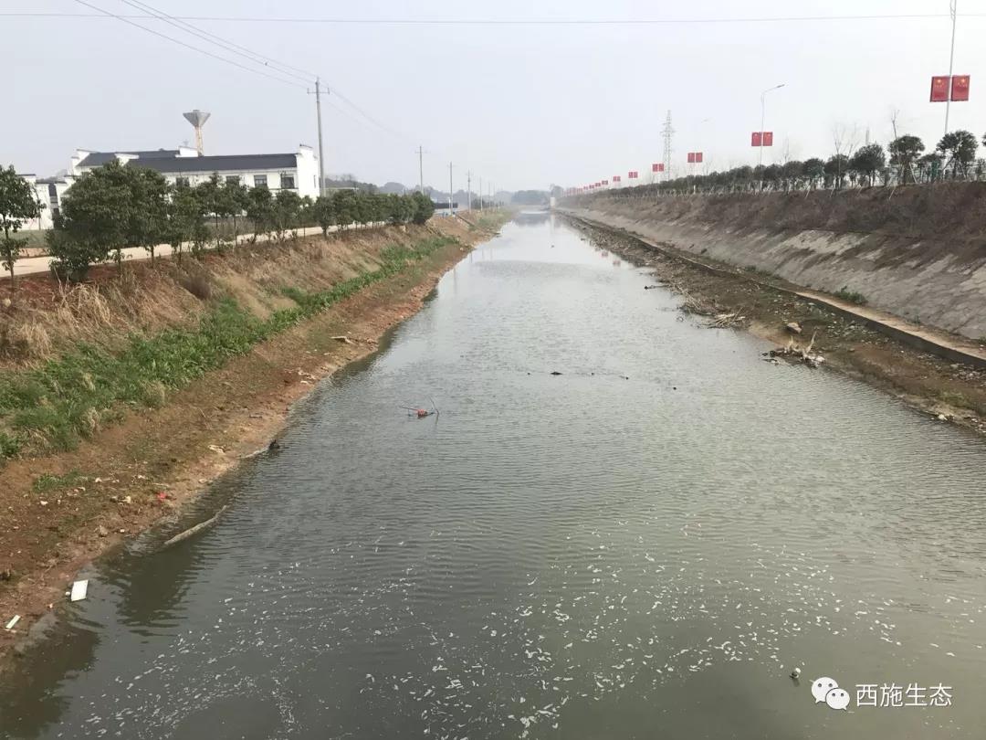 大熊山風(fēng)電場 施工前