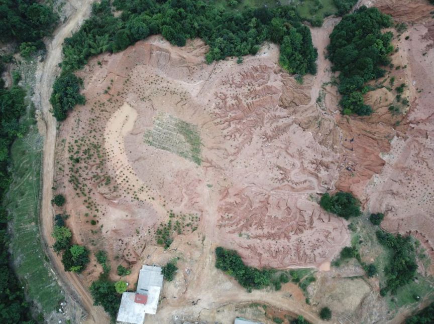 贛州造假1 贛州造假1