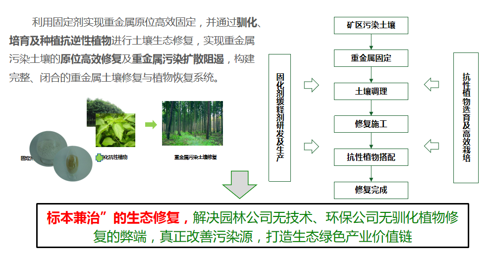 修復(fù)方案優(yōu)勢(shì)