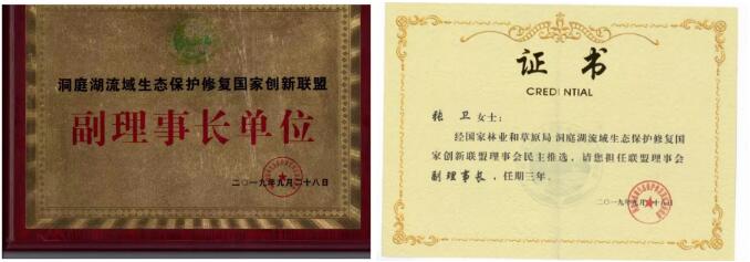 官網(wǎng)1111