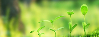 【西施生態(tài)】生態(tài)修復(fù)案例，和我們一起行動起來吧