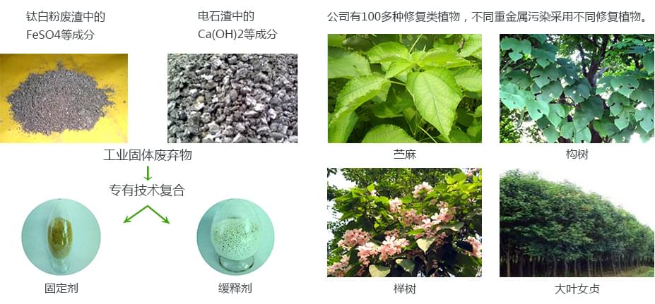 重金屬污染土壤修復項目產(chǎn)品