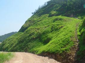 郴州市臨武縣三十六灣及東山風(fēng)電廠生態(tài)建設(shè)項(xiàng)目