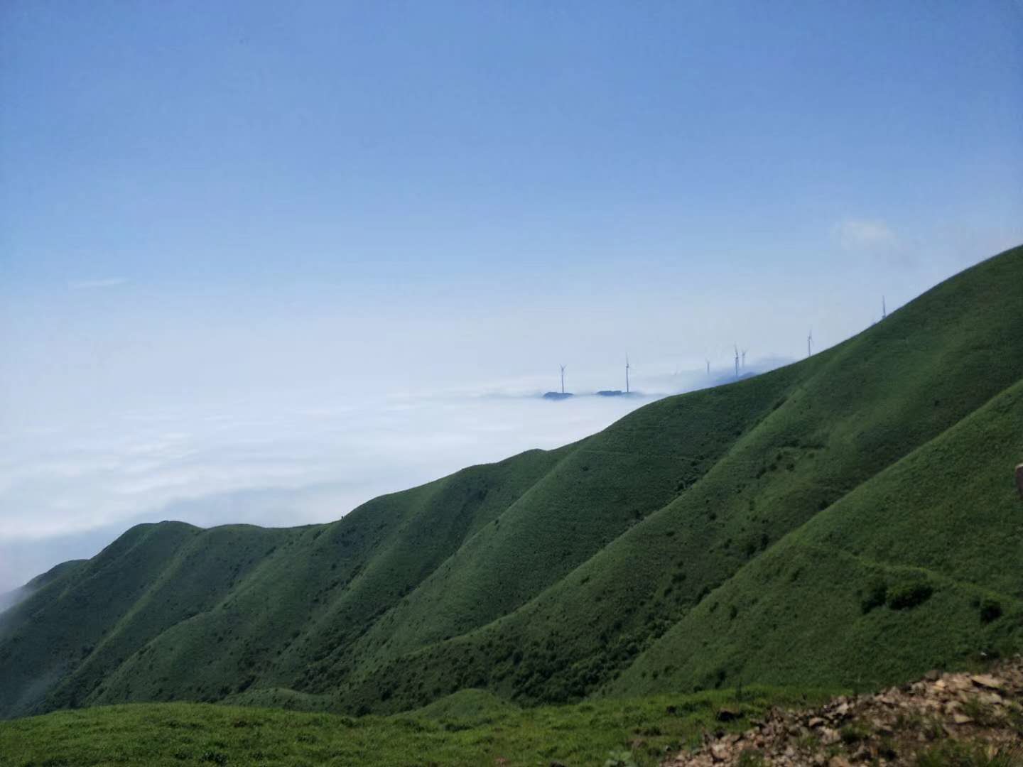 臨武三十六灣風(fēng)電場邊坡綠化、生態(tài)恢復(fù)項(xiàng)目