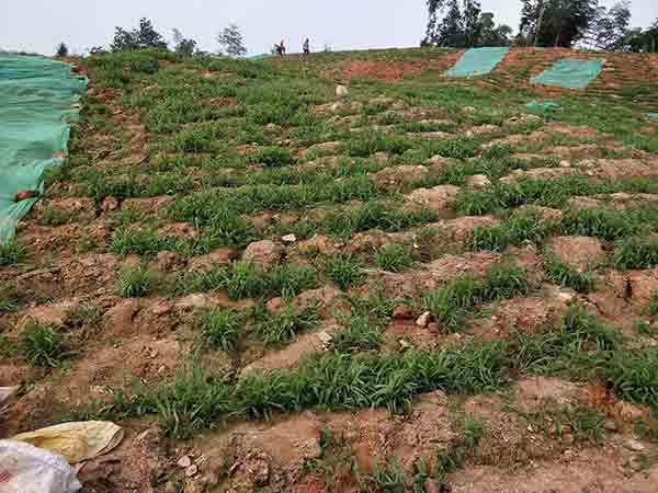 大義山修復(fù)中1 大義山修復(fù)中1