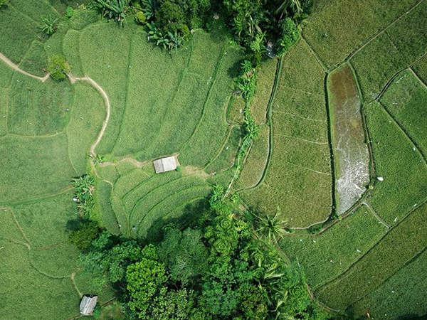 土地復墾