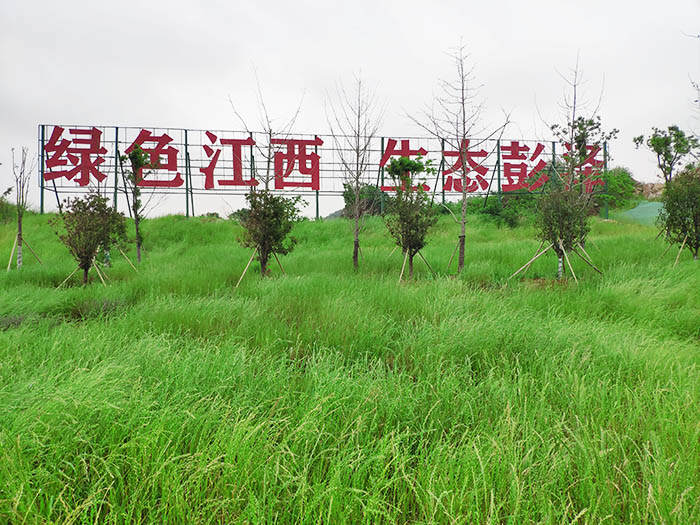江西彭澤縣馬當鎮(zhèn)子磯頭廢棄礦山生態(tài)環(huán)境恢復治理工程項目