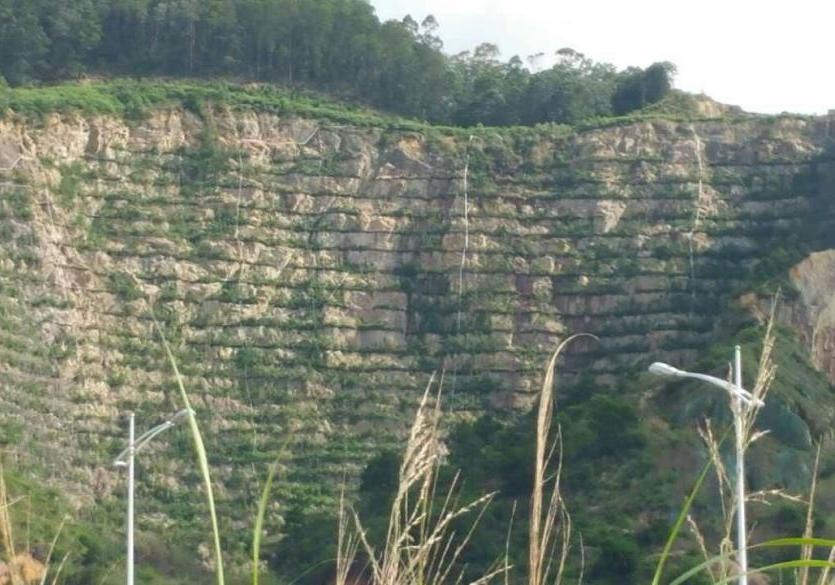 東莞厚街礦山土壤治理及生態(tài)建設(shè)項(xiàng)目