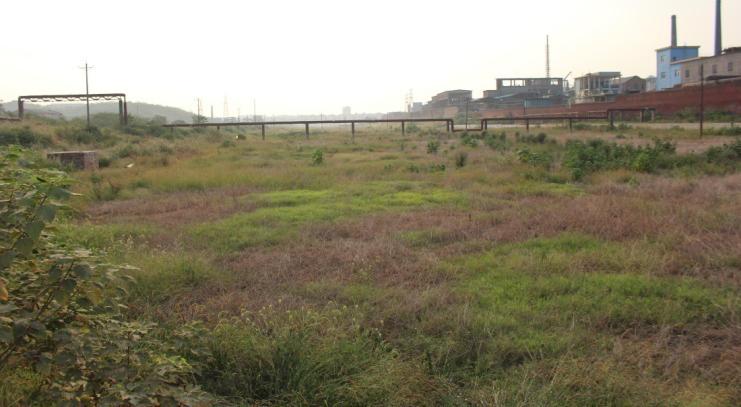 常寧市水松地區(qū)土壤治理及生態(tài)建設(shè)項目