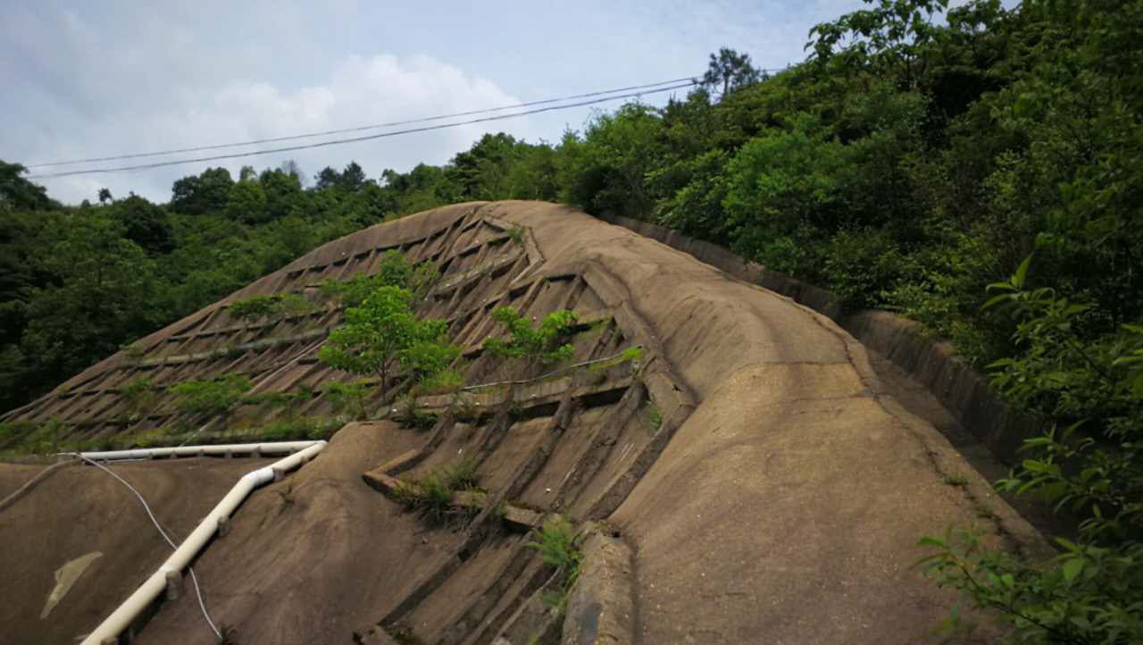 醴陵市國土資源局后山護(hù)坡生態(tài)覆綠項(xiàng)目