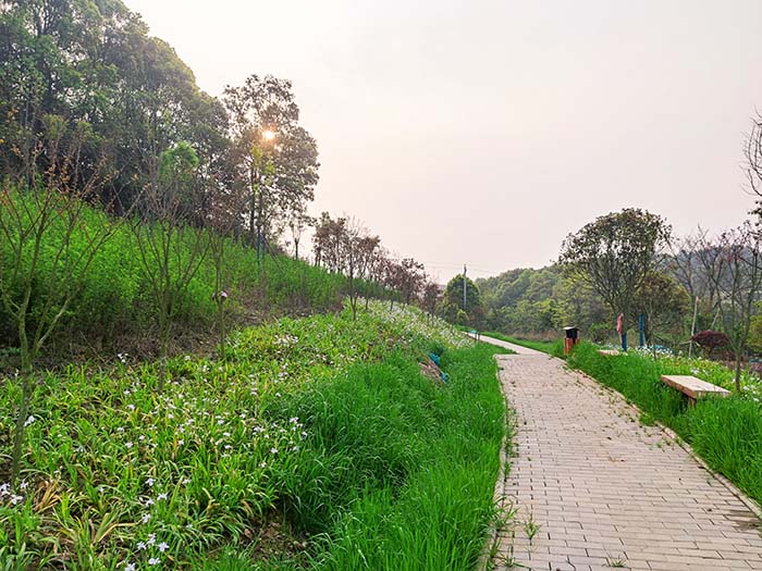 衡陽市常寧水口山鉛鋅煤礦區(qū)山水林田湖草生態(tài)保護(hù)修復(fù)試點(diǎn)工程