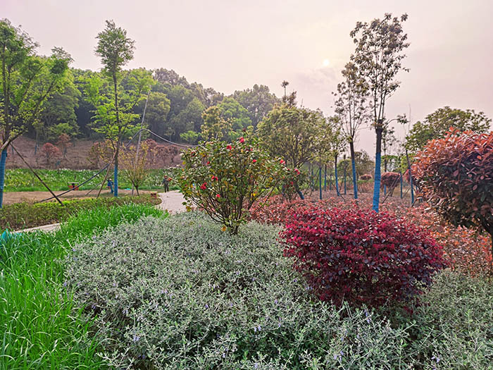 衡陽市常寧水口山鉛鋅煤礦區(qū)山水林田湖草生態(tài)保護(hù)修復(fù)試點(diǎn)工程